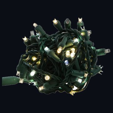Champagne 5mm mini LED lights, lit