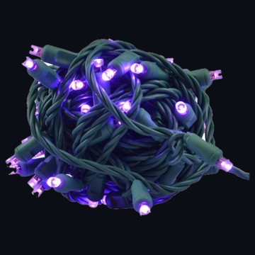 Purple 5mm mini LED lights, lit